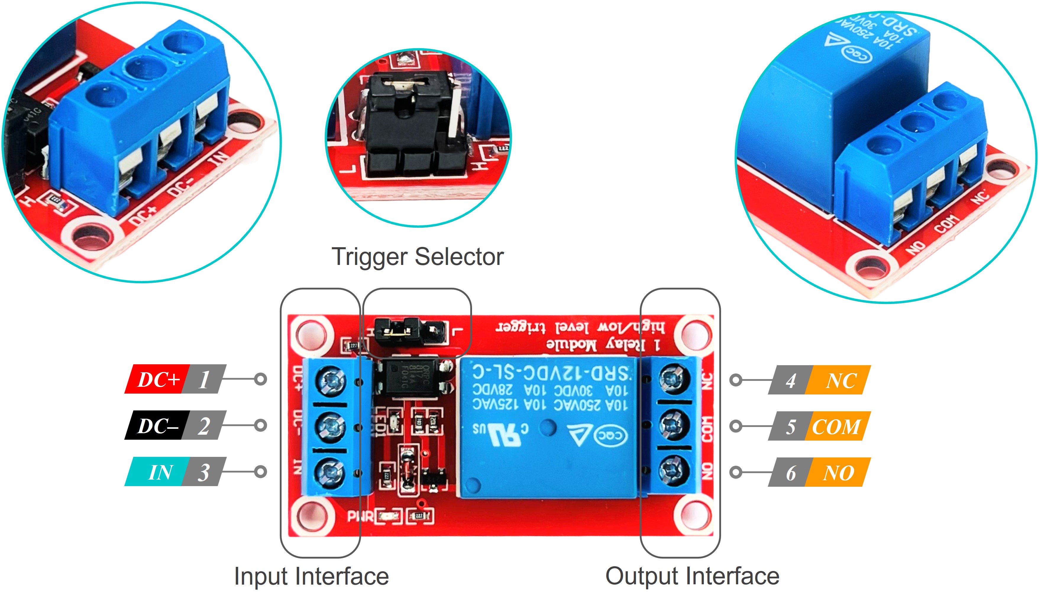 Single channel 12V relay board red showing screw terminals and control pins for microcontrollers